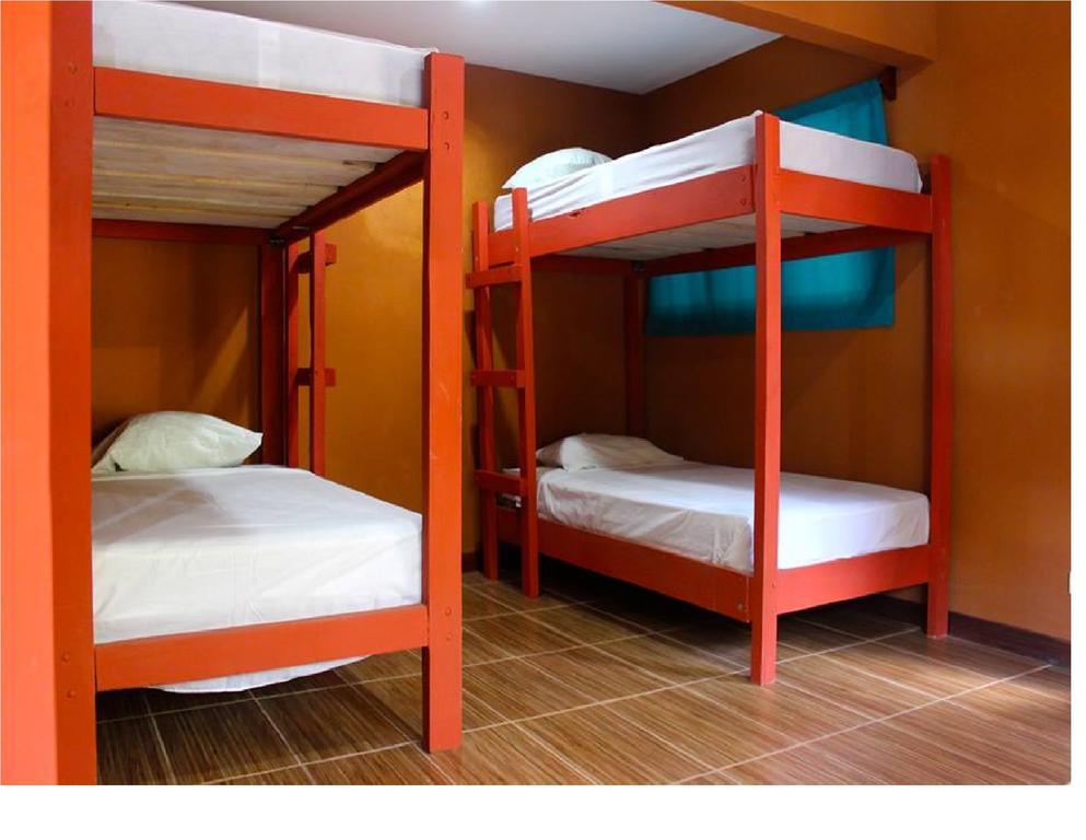 Coral Reef Surf Hostel And Camp Tamarindo Oda fotoğraf